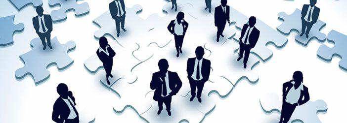Organizasyon Şeması
