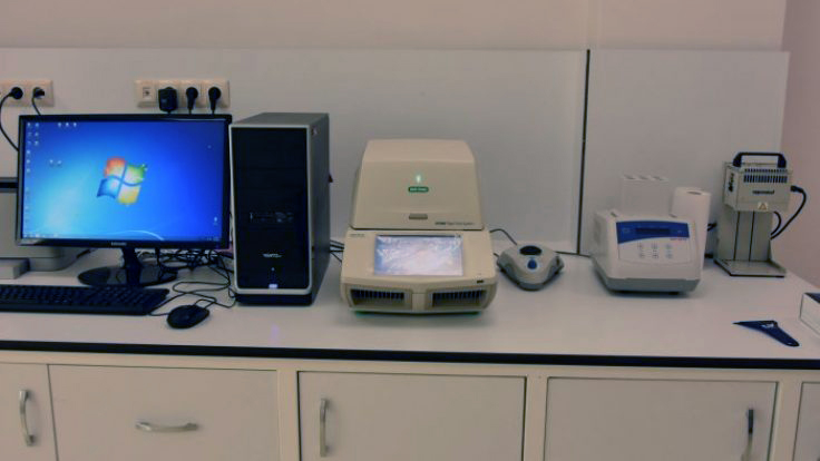 RT-PCR